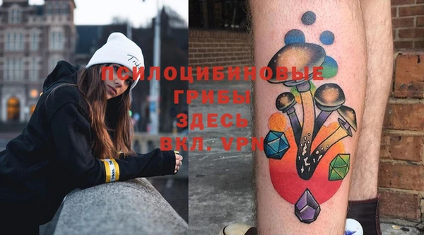 прущий лед Горно-Алтайск