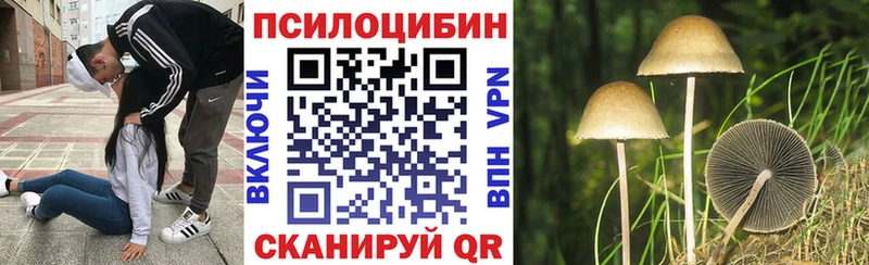 Купить  Кисловодск  Псилоцибиновые грибы ЛСД 